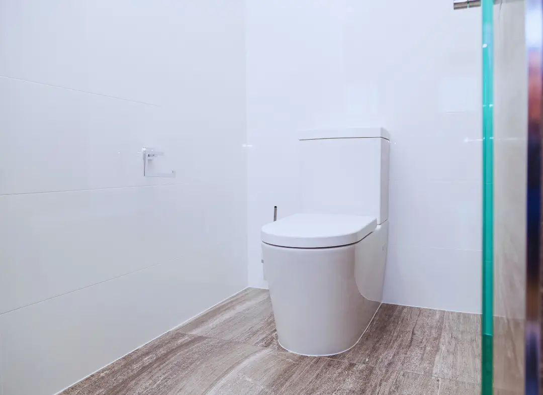 Remplacement de wc Thyez